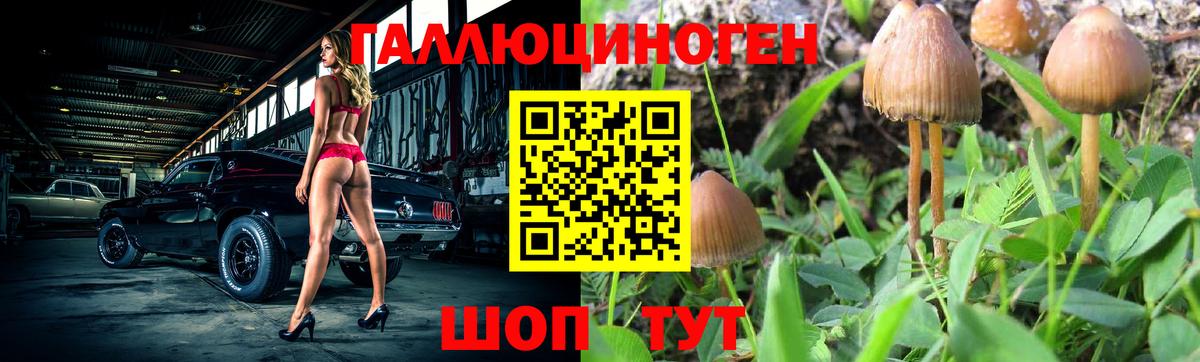 Псилоцибиновые грибы мицелий  Вход с VPN  Корсаков 